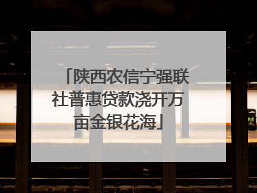 陕西农信宁强联社普惠贷款浇开万亩金银花海